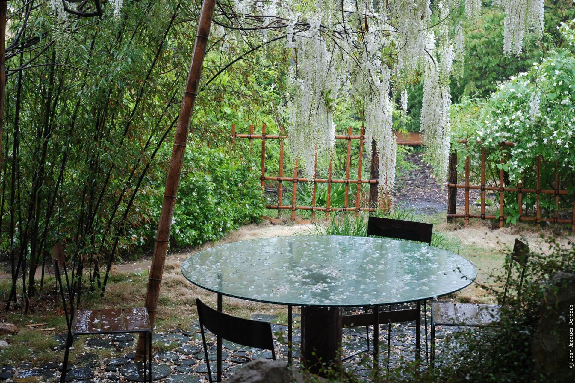 Terrasse bois sous le treille, glycine blanche, bambou, seringat, pétales de fleurs, mobilier jardin en métal, table de jardin en verre.