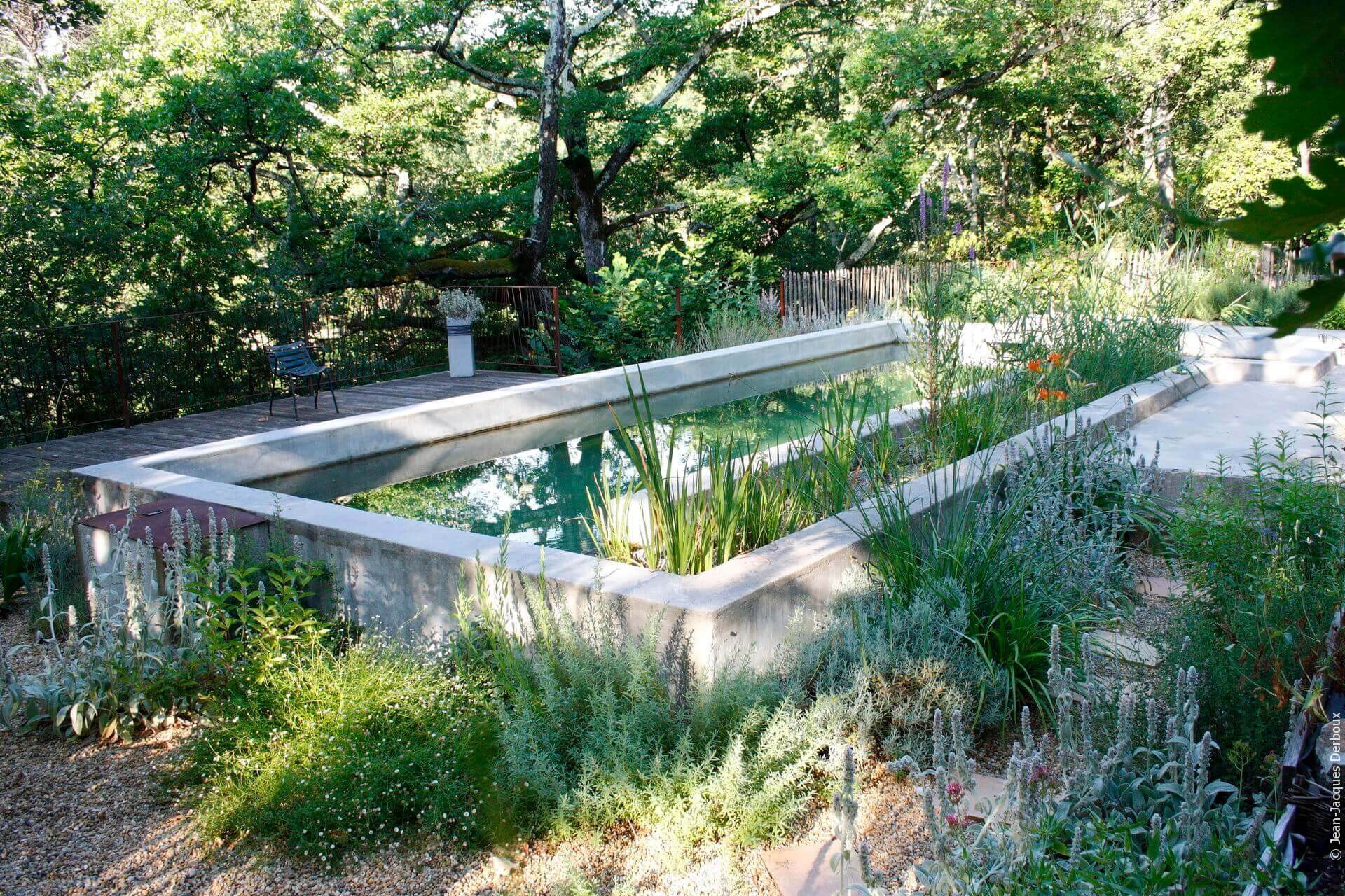 Piscine biologique, plantes phyto-épuration, terrasse bois, garde corps métal brut, ganivelle.