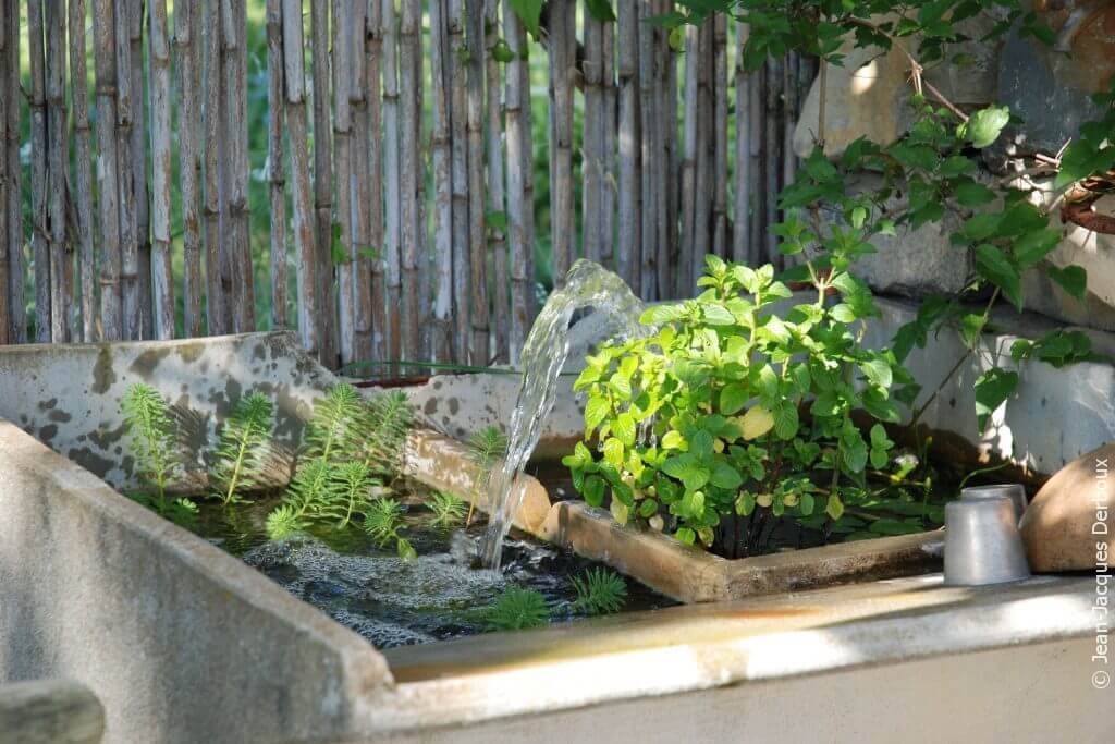 Bac lavoir en béton recyclé en fontaine, menthe.