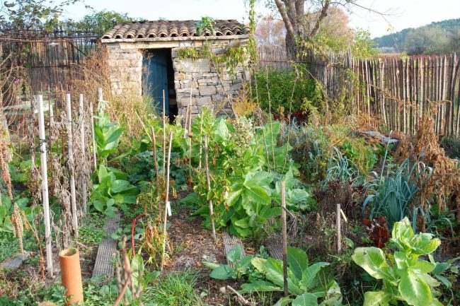 Jardin nourricier et cabane de jardin en pierre sèche.