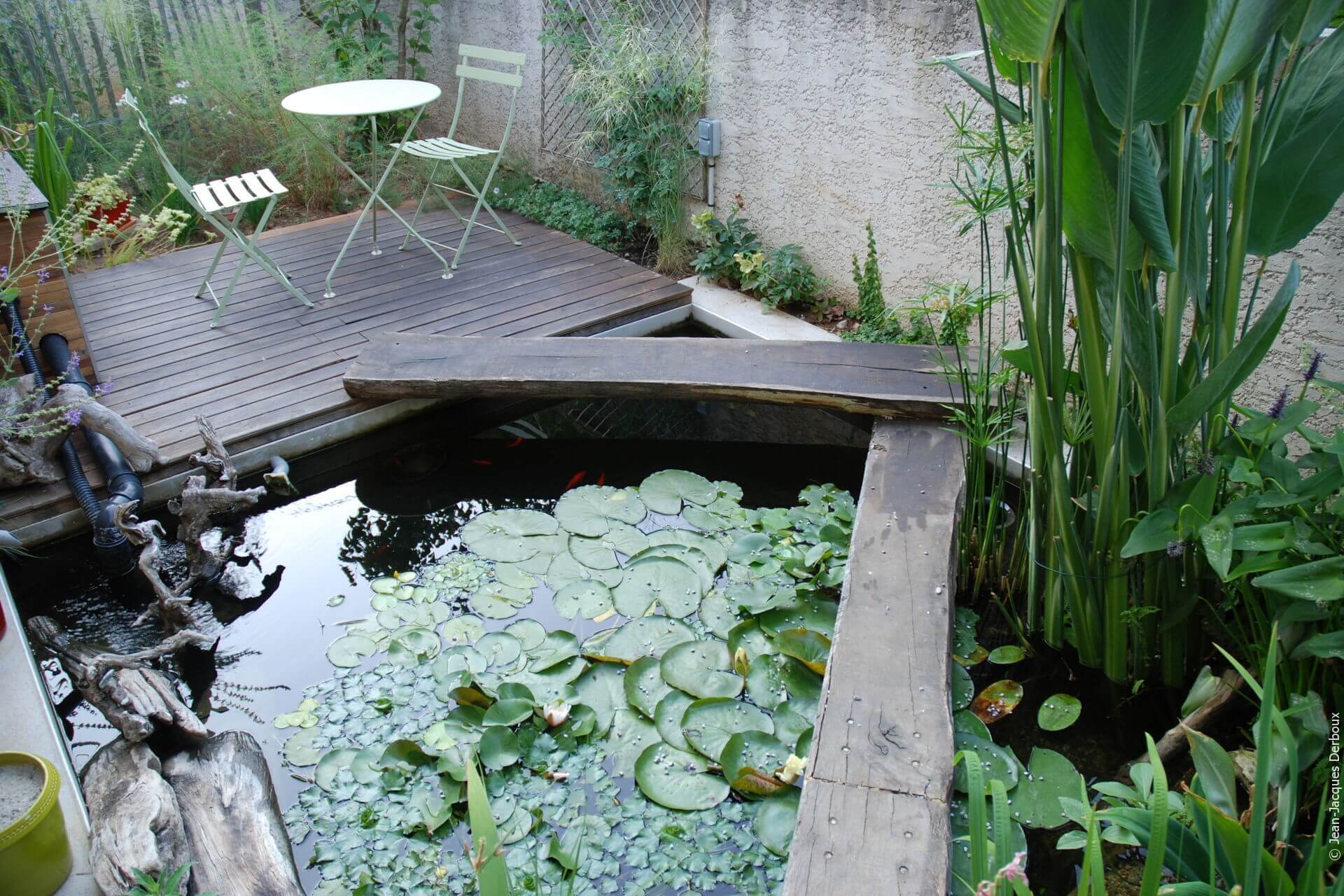 Petit jardin et bassin, mobilier, poisson, terrasse bois, plantes aquatiques.