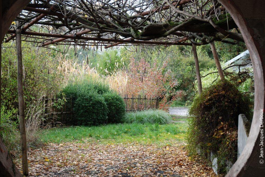 Couleur et feuilles jardin d’automne, clôture et treille en bambou d’inspiration japonaise, graines de glycine, jardin écologique.