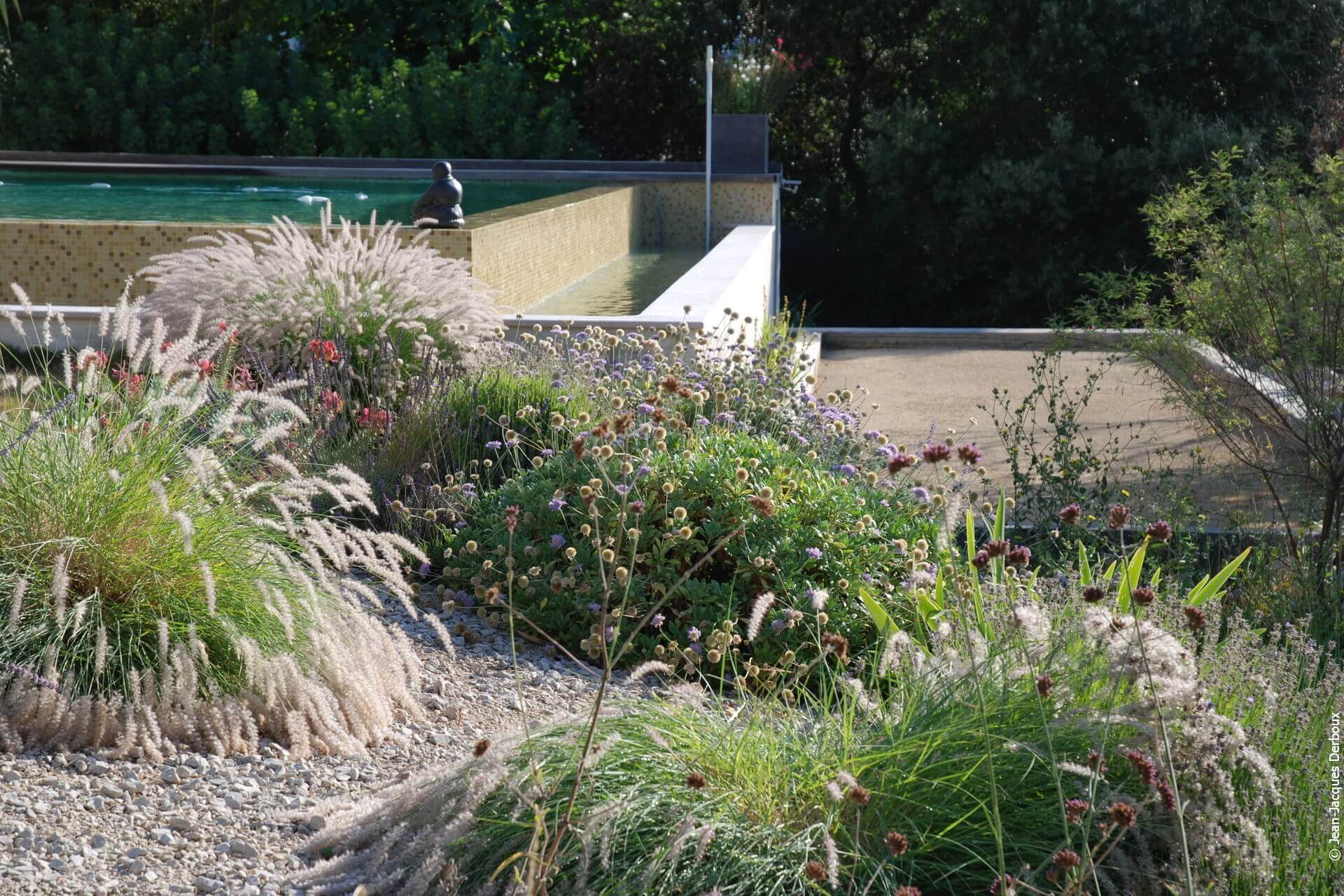 Piscine à débordement, jeu de boule, graminée, scabieuse.