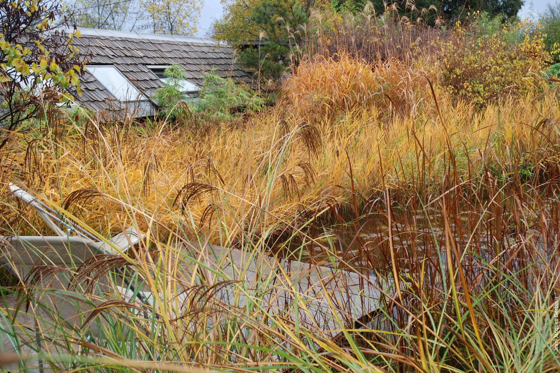 Terrasse ponton bois sur mare naturelle, graminée, feuillage couleur automne, mobilier