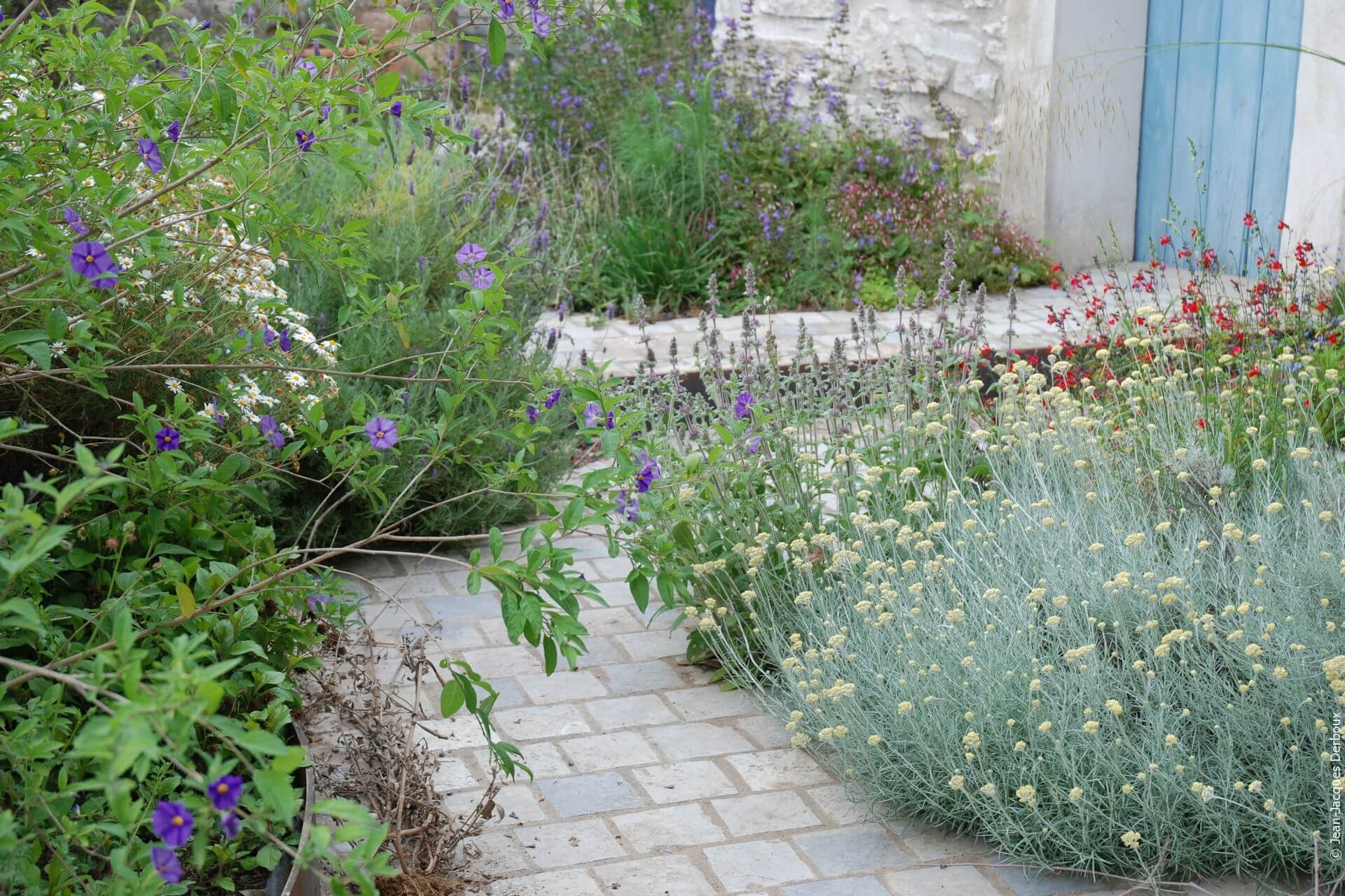 Jardin de village, courette pavée, solanum, immortelle, végétaux méditerranéens.