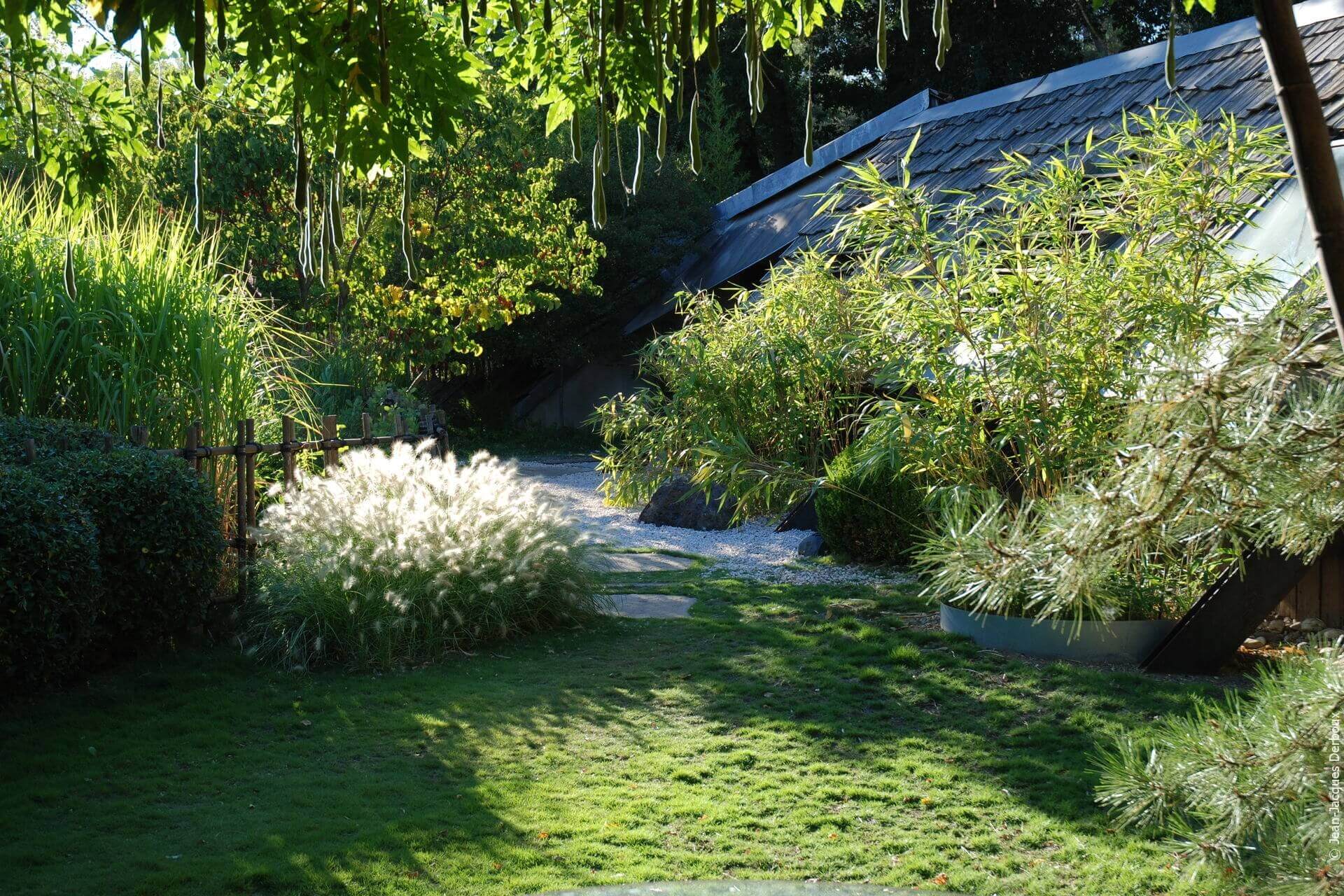 Devant la maison, zoysia, dalle naturelle dans gravier, bambou.