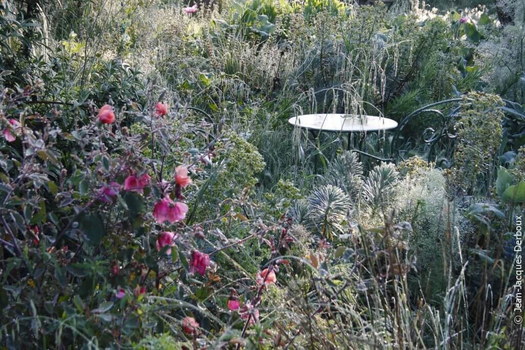 Jardin romantique sans arrosage, fleurs, rosiers, mobilier ancien en métal.