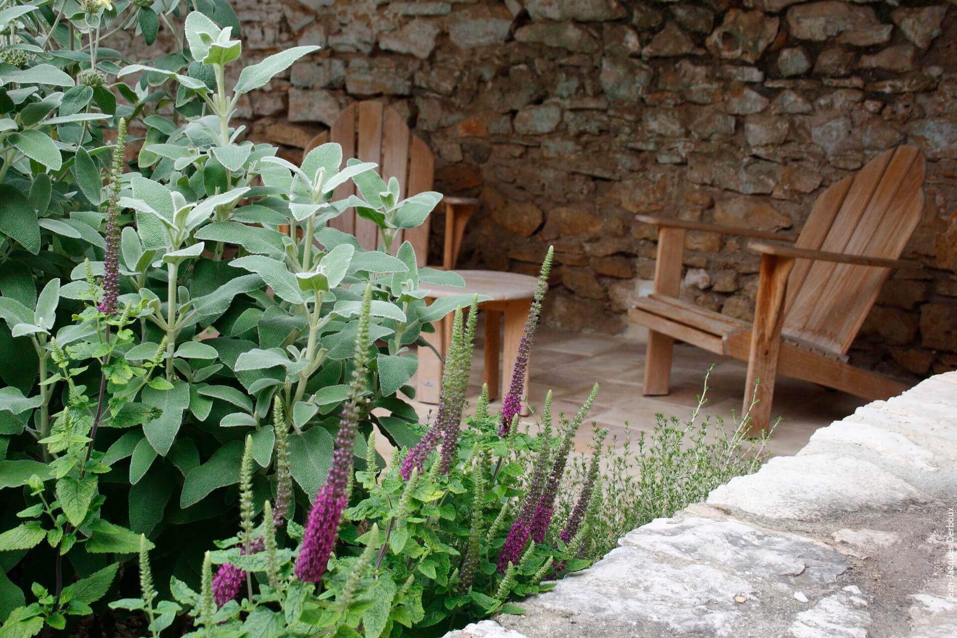 Fauteuil en bois, phlomis.