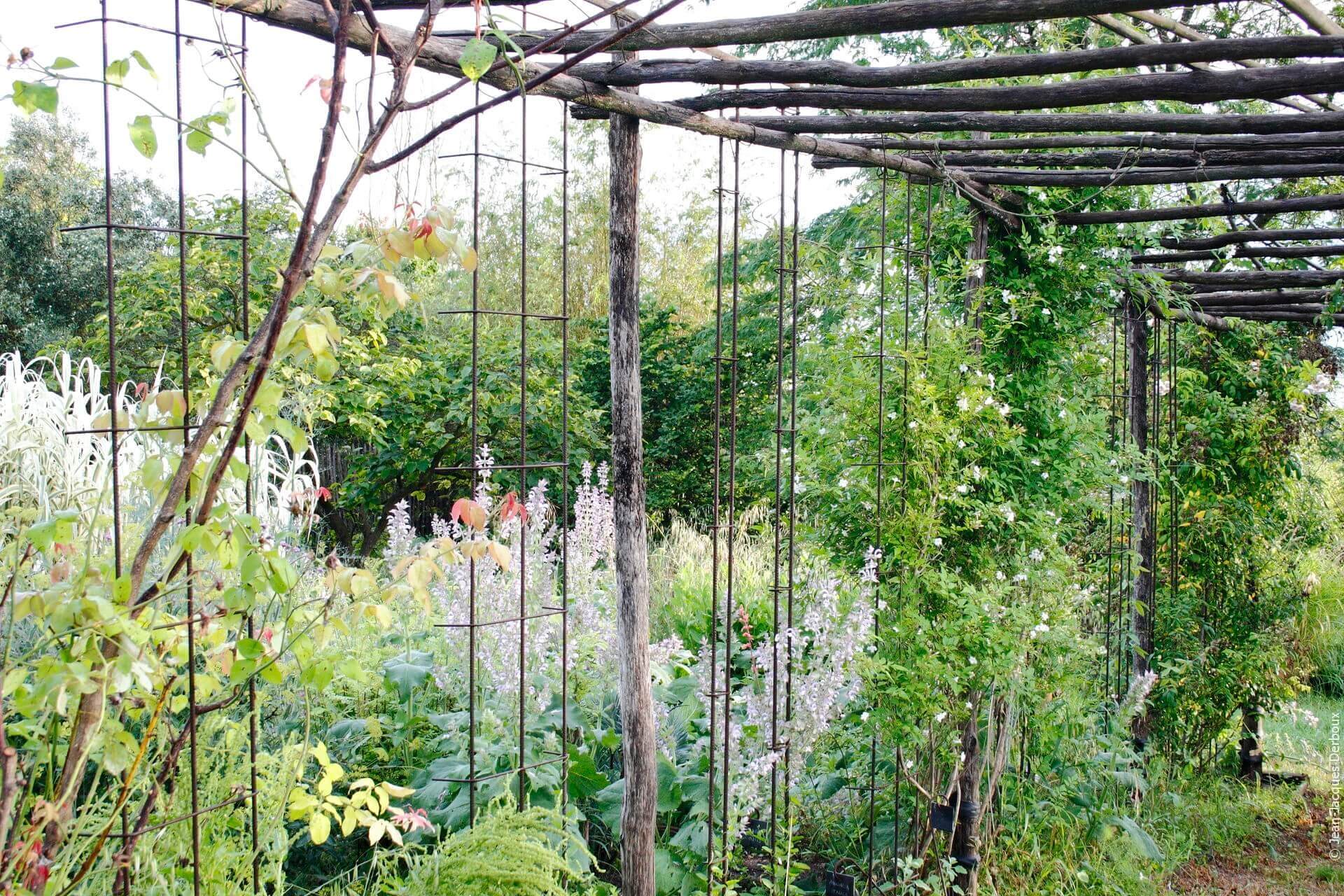 Treille en bois recyclé et fers à béton, jasmin, rosier, sauge sclarée