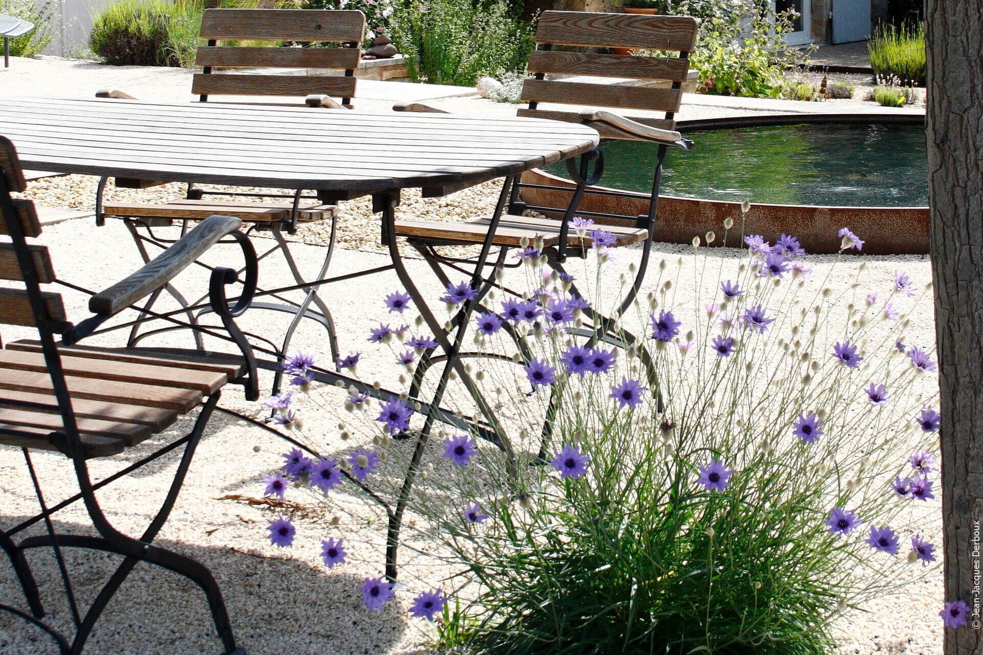 Mobilier ancien bois et métal, terrasse clapissette, bassin rond en métal, catananche.