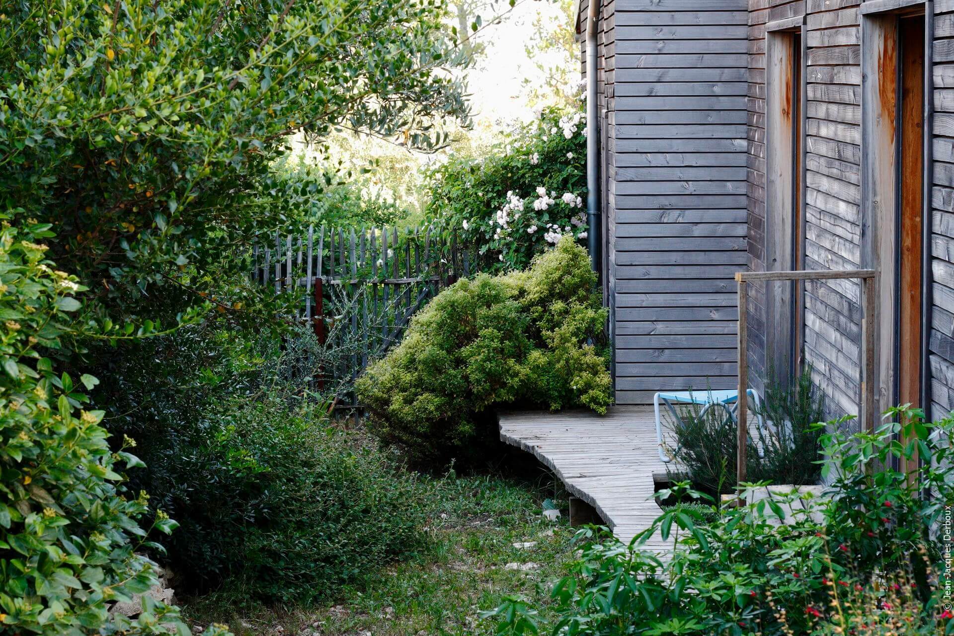 Terrasse bois, jardin naturel, rosier, oranger du Mexique, ganivelle.