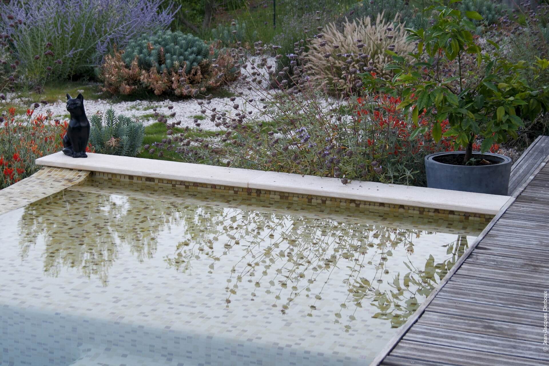 Piscine, reflet dans l’eau, jardin sec, agrume, jardin sur gravier.