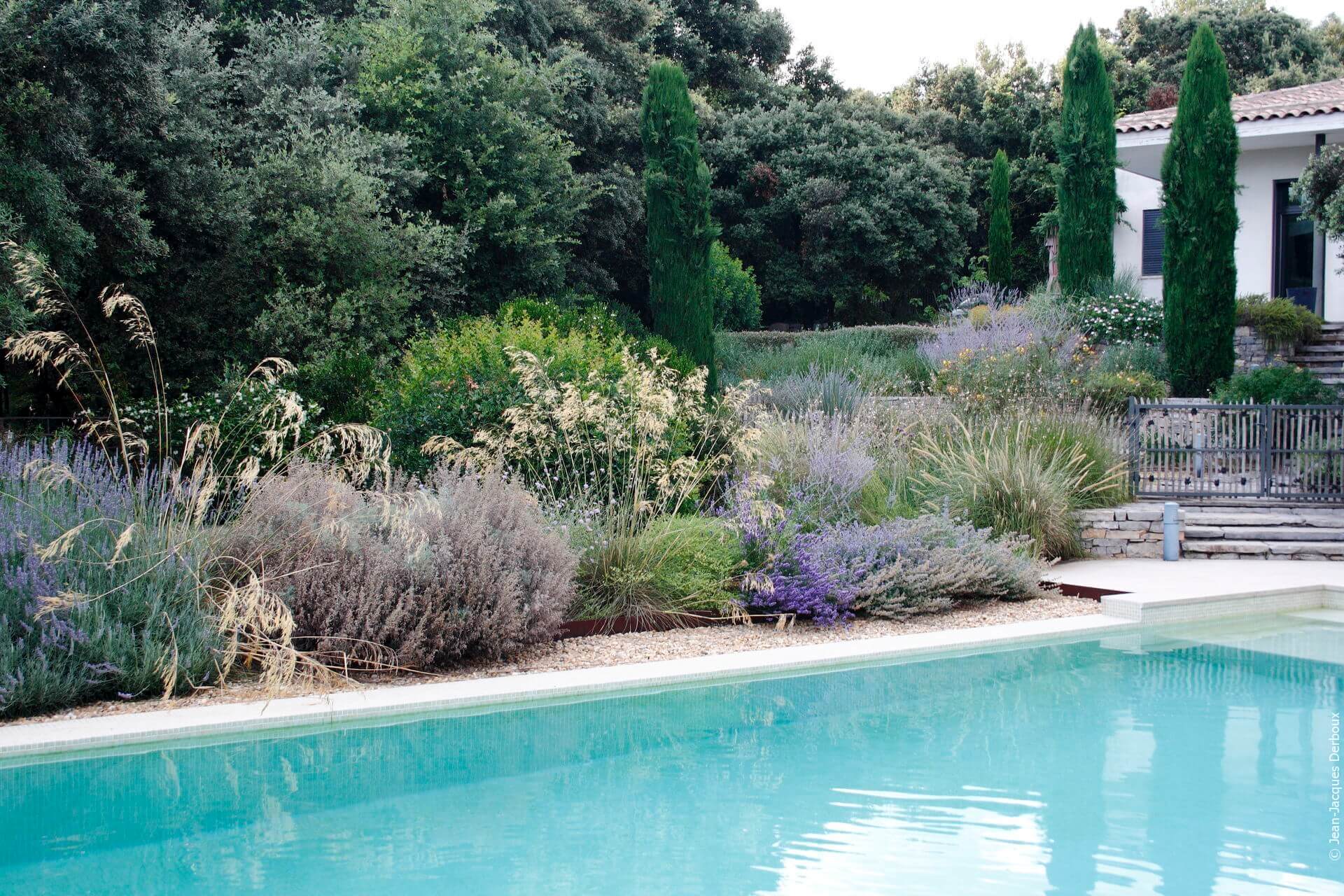 Massif sans arrosage, abord de piscine, floraison du printemps, portillon en ganivelle, stipa gigantea.